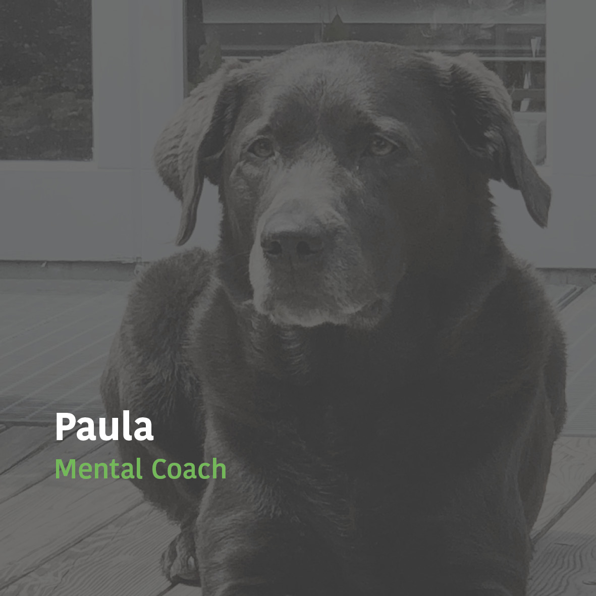 Kuhrhaus_Paula_kontakt