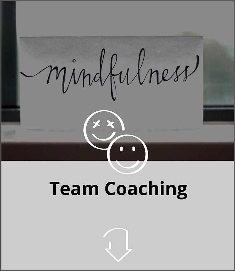 team-coaching